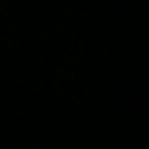 Meet your Posher, Alisha